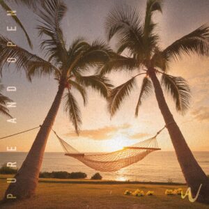 Arctic Wave Channels Reggae Sunlight on Radiant New Single “Pure and Open”
