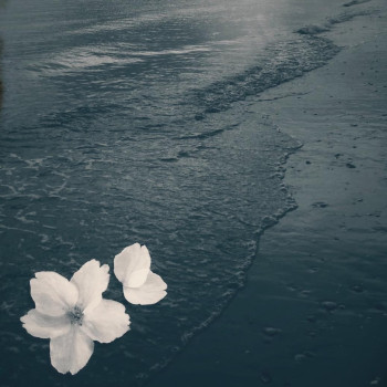 The Ingrid Announce “Mother”: A New Single With Purpose, Wit and Quiet Defiance